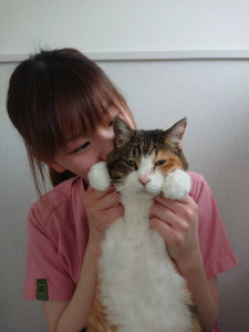 image-48