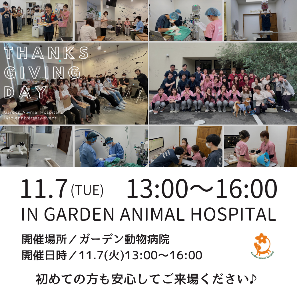 お知らせ | 犬猫の予防、診察は岸和田にあるガーデン動物病院へ