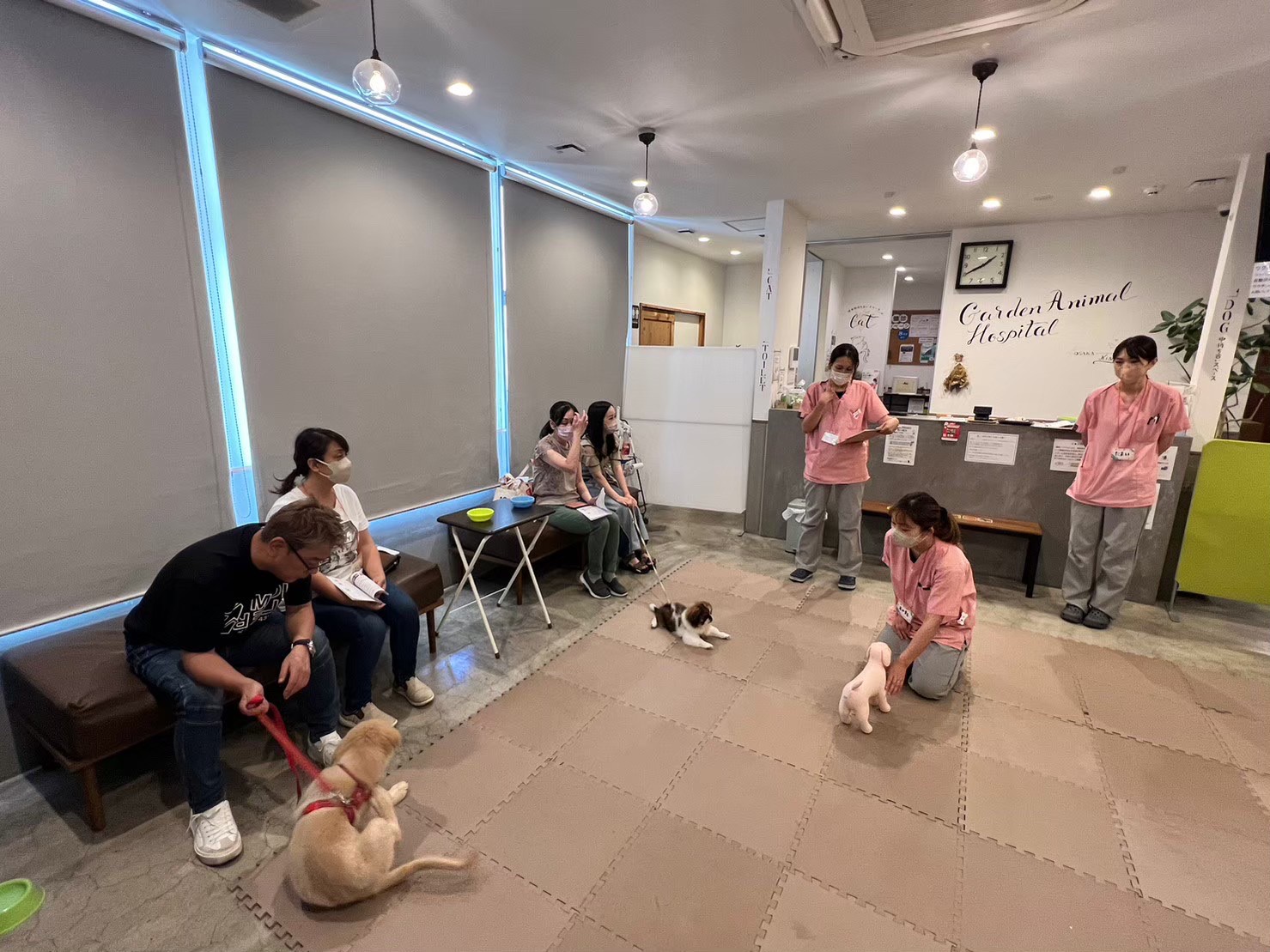 お知らせ | 犬猫の予防、診察は岸和田にあるガーデン動物病院へ