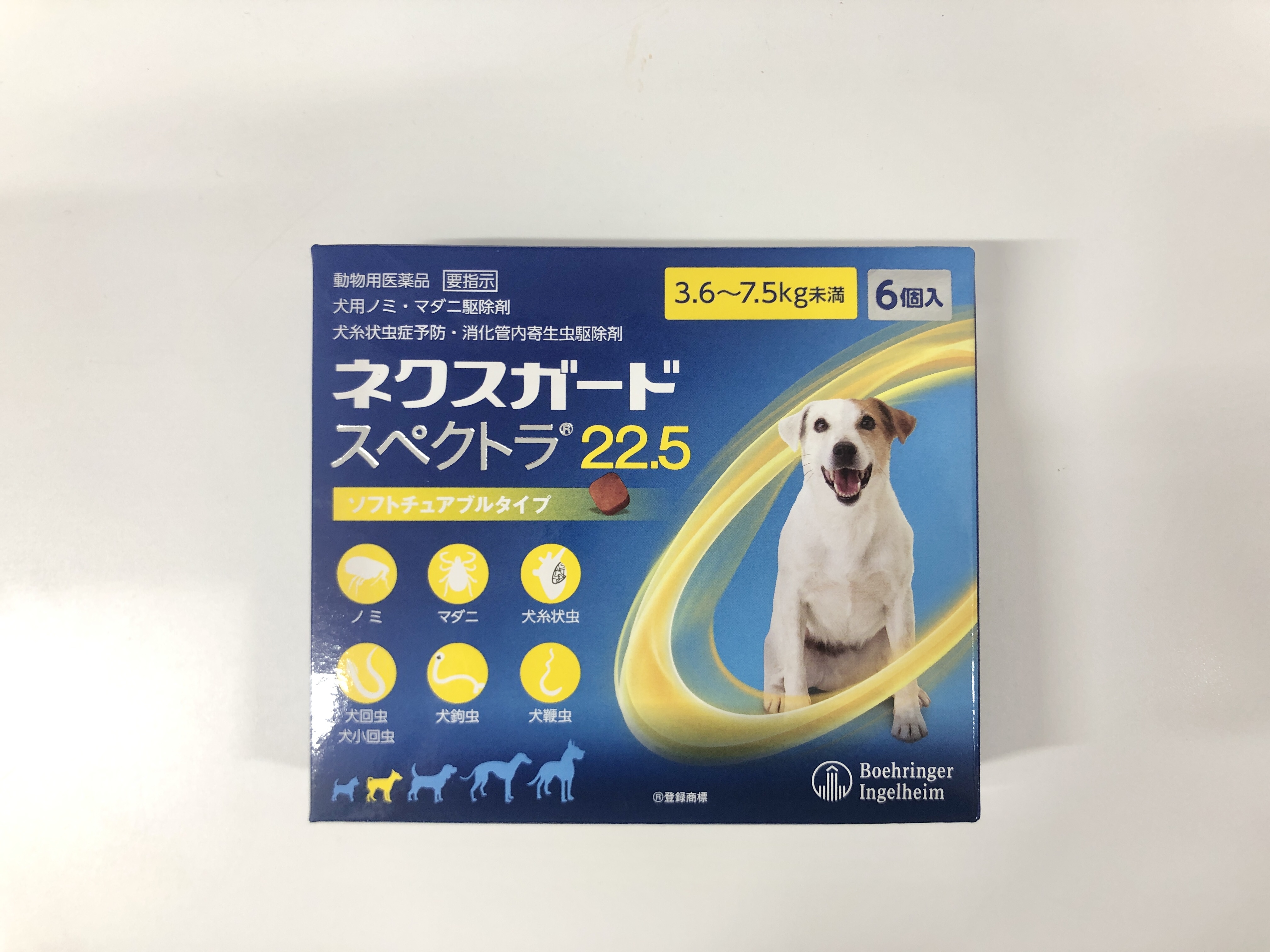 フィラリアの予防薬どれにする 犬猫の予防 診察は岸和田にあるガーデン動物病院へ