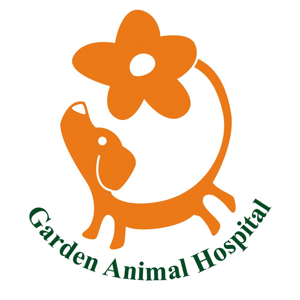 スタッフ紹介 犬猫の予防 診察は岸和田にあるガーデン動物病院へ