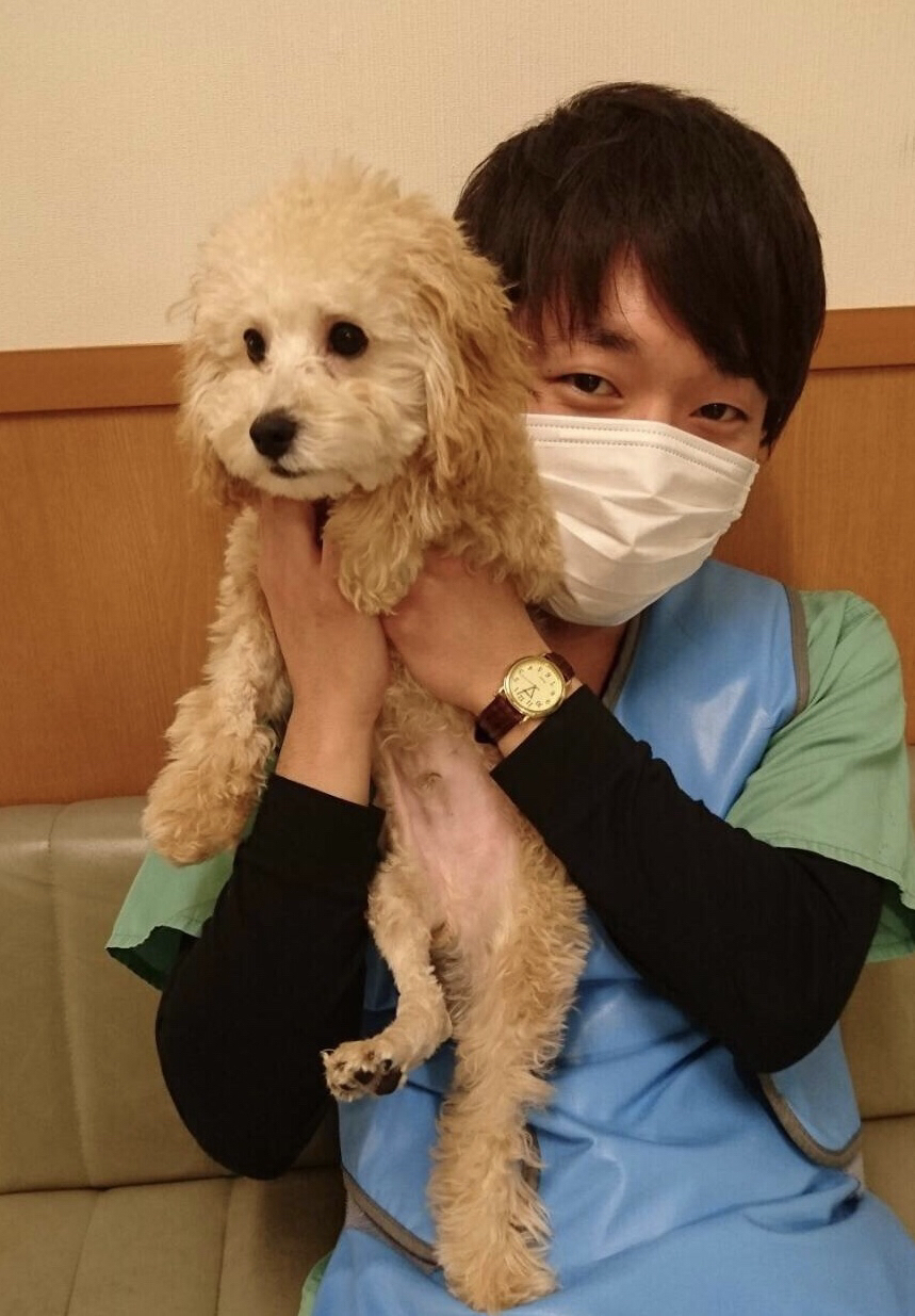 スタッフブログ ペットの時間外診療は岸和田にあるガーデン動物病院へ